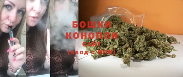 сатива Каменногорск