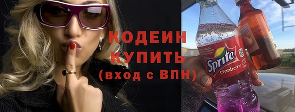 скорость Каменка
