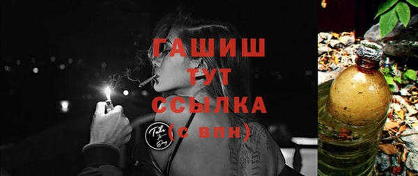 скорость Каменка