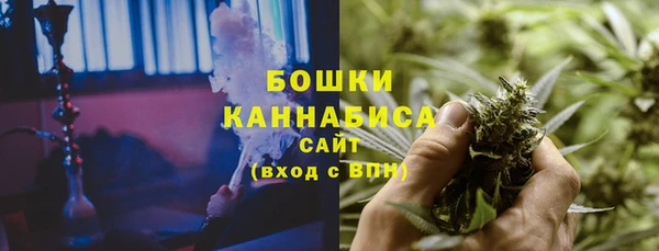 сатива Каменногорск