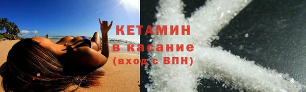 сатива Каменногорск