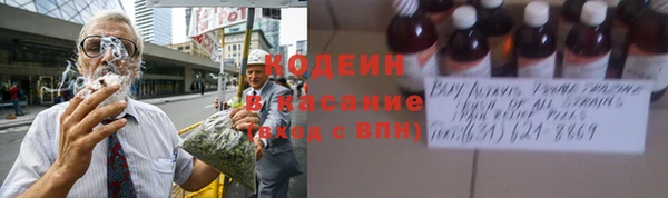 скорость Каменка