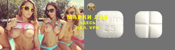 сатива Каменногорск