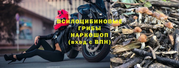 скорость Каменка
