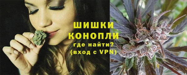 сатива Каменногорск