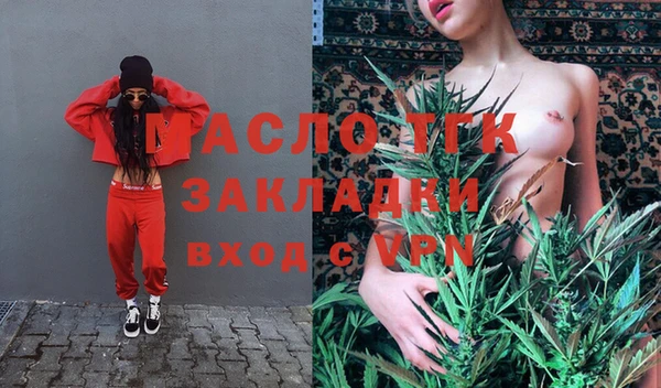 скорость Каменка