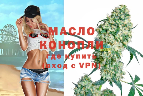 сатива Каменногорск
