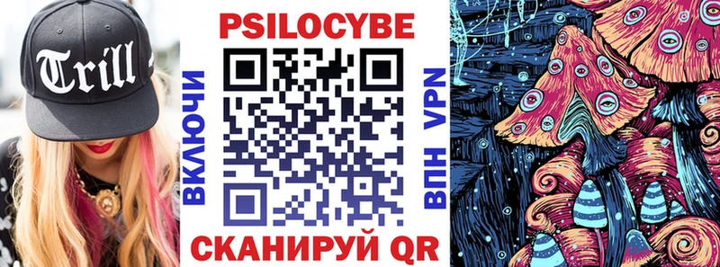 Купить где  Белокуриха  Галлюциногенные грибы Cubensis 